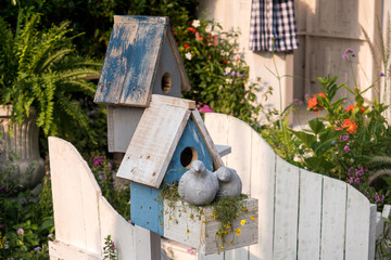 bird house in garden