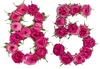 Arabic numeral 85, eighty five, from red flowers of rose, isolated on white background