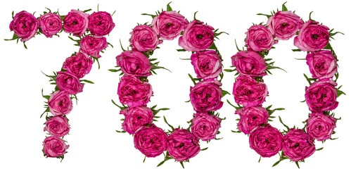 Arabic numeral 700, seven hundred, from red flowers of rose, isolated on white background