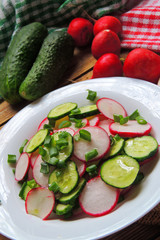 Spring salad with radishes and cucumber