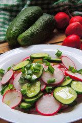 Spring salad with radishes and cucumber