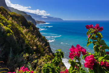 Flowers on coast in Boaventura - Madeira Portugal - obrazy, fototapety, plakaty