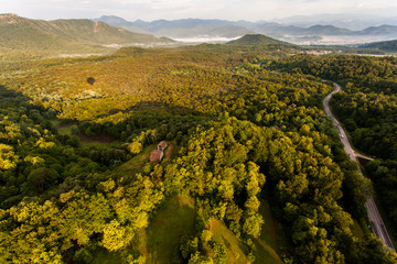 Gran angular del bosque