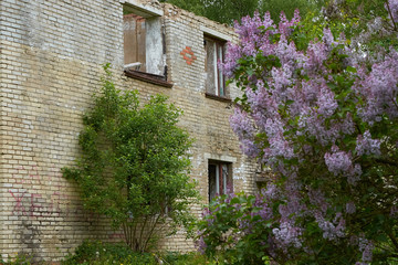 old abandoned house in woods