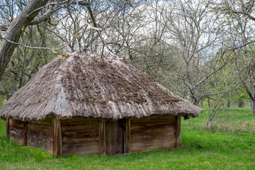 Fototapeta na wymiar National Museum Pirogovo in the outdoors near Kiev. Ancient rural Ukrainian old wooden building with a thatched roof, spring landscape in the old village of national architecture, Ukraine.