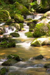 Fototapeta premium Gebirgsbach mit Wasserfall