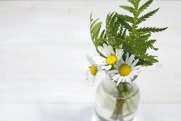 bouquet of chamomile flowers in glass vase on white background