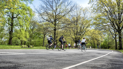 Bikers in the park