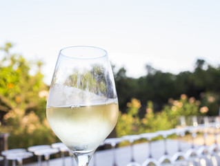 Copa de vino Blanco