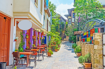 Cafe in shady street