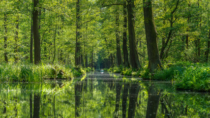 Kayaking at the Spreewald in Germany