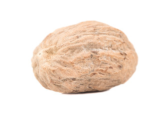 Dry nutmeg