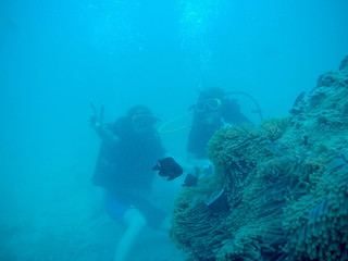 Naklejka na ściany i meble Women scuba divers exploring underwater life in the deep blue ocean