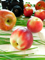 Nectarines and apples on a wooden table and an old camera surrounded by scattered grass and branches of lilac