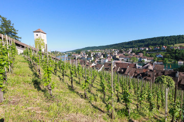 Fototapeta na wymiar Panoramic view of Swiss town Schaffhausen. River Rhine.