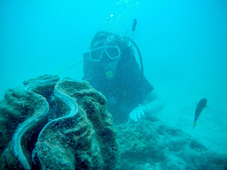 Woman scuba diver exploring underwater life in the deep blue ocean