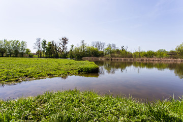 green grass with a river on background