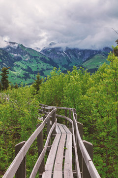 Natur / Steg / Schweiz / Berner Oberland / Gantrisch / G&auml;ggersteg