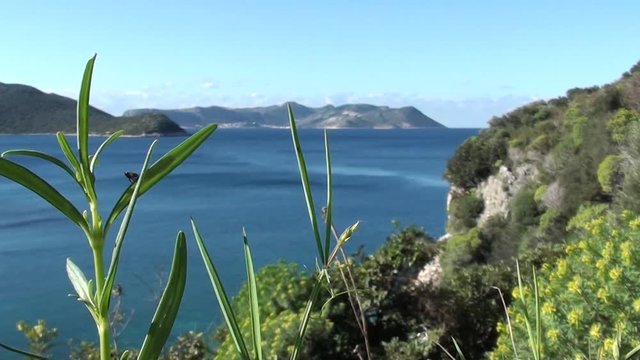 Mediterranean sea view and vegetation