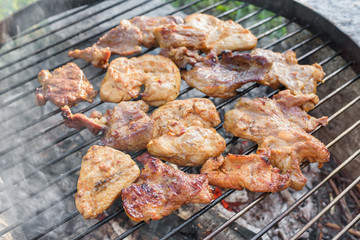Grilled chuck steak and chicken breast on barbecue grill