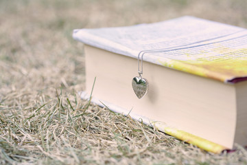 Heart shape pendant and a book