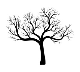 bare tree silhouette vector symbol icon design.