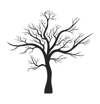 bare tree silhouette vector symbol icon design.