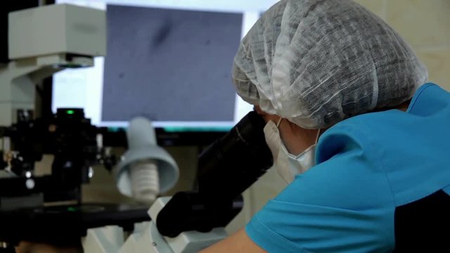 The doctor examines the sperm samples under a microscope