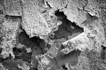 Cracked Paint II - mono