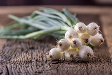 Onion. Fresh young onion on rustic oak table.