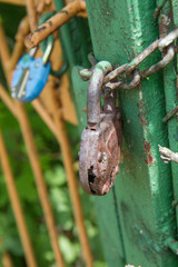 Padlocks on a gate