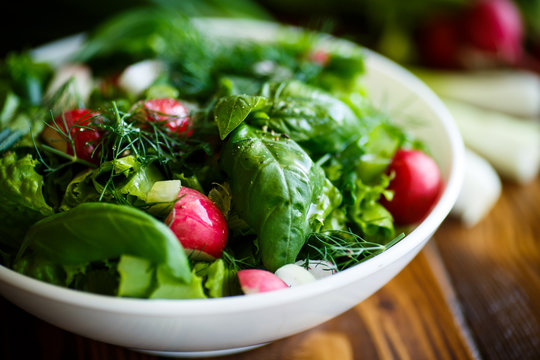 Spring salad from early vegetables, lettuce leaves, radishes and herbs