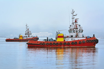 Tugboats in the Port Aquatorium