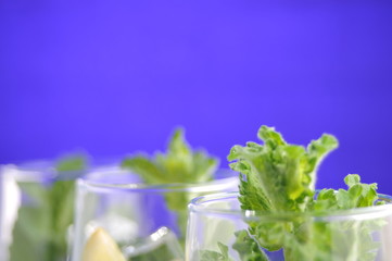 Mojito cocktail with lime and mint