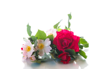 Bouquet of wild and red rose