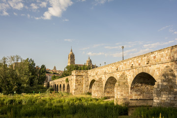 Fototapeta premium Ancient Roman bridge in Salamanca, Spain