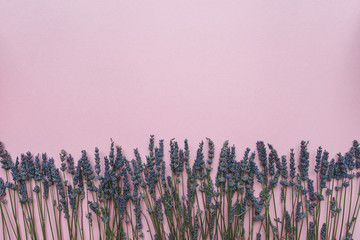 Lavender flowers border on pink background, flat lay with copy space