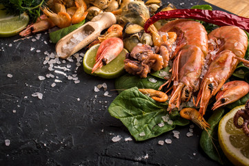 Seafood on a dark background