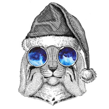 Wild cat Lynx Bobcat Trot wearing christmas hat New year eve Merry christmas and happy new year Zoo life Holidays celebration Hand drawn image