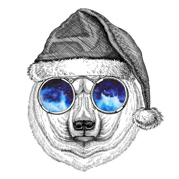 Polar bear wearing christmas hat New year eve Merry christmas and happy new year Zoo life Holidays celebration Hand drawn image