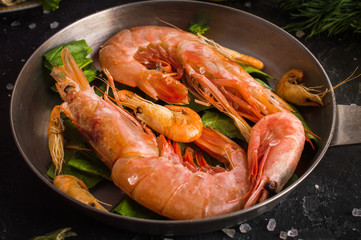 Seafood on a dark background