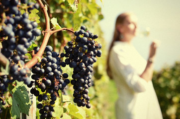 Woman tasting wine. Lavaux region, Switzerland