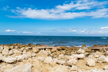 Rocky seascape of the black sea beach