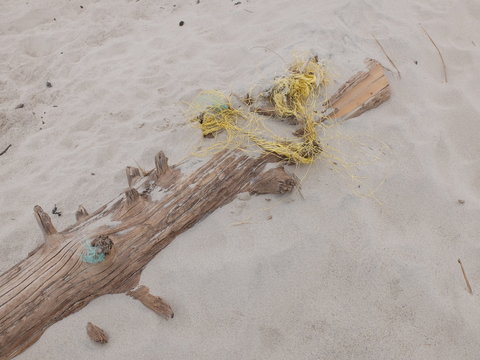Strandungsabfall