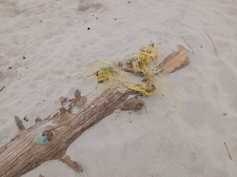 Strandungsabfall
