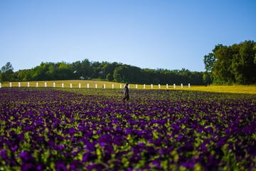 A man on a field of flowers