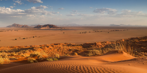Fototapeta na wymiar Panorama from the top of the Elim dune