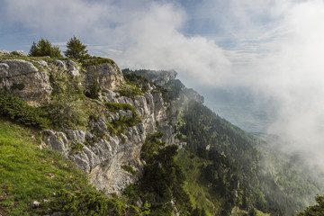Fototapeta na wymiar L'Alpe - Massif de la Chartreuse - Isère.