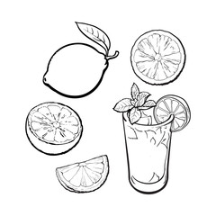 Set of whole, half, quarter lime and glass of lemonade with ice, sketch style vector illustration on white background. Hand drawn whole and cut lime and glass of lemonade with ice