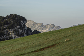 L'Alpe - Massif de la Chartreuse - Isère.
